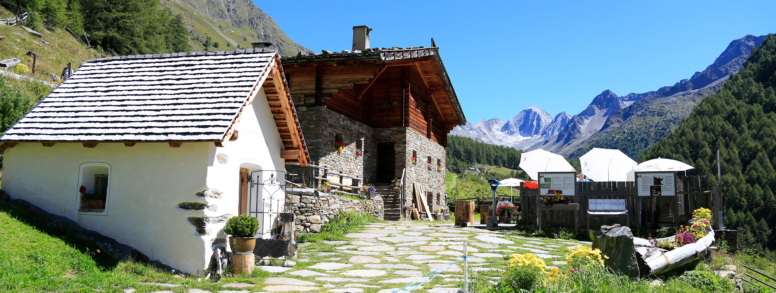 Malga Rableid Val di Fosse